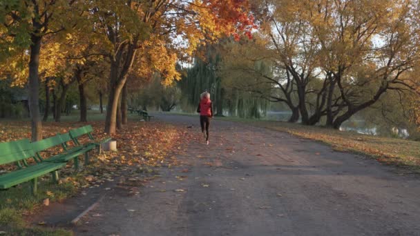 Бегущая женщина в осеннем лесу. Женская фитнес-девочка бегает по дорожке в удивительном ландшафте осенней листвы за окном . — стоковое видео