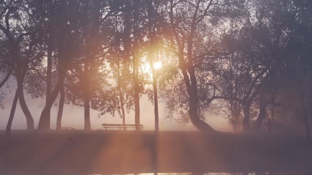 Silueta de una mujer corriendo en el parque durante una niebla, salida del sol de otoño . — Vídeos de Stock