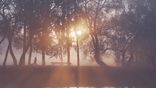 Silhouette di una donna che corre nel parco durante un'alba autunnale nebbiosa . — Video Stock