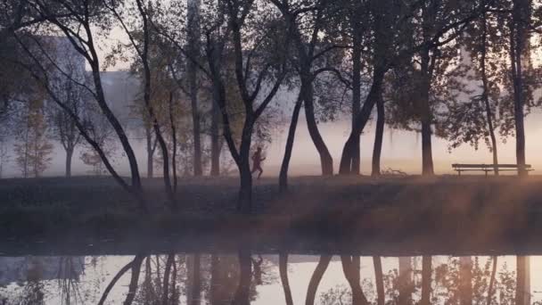 Silueta de una mujer corriendo en el parque durante una niebla, salida del sol de otoño . — Vídeos de Stock