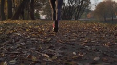 Runner kadın ayakları sonbahar yol closeup Ayakkabı üzerinde çalışan. Kadın fitness modeli açık havada sonbahar koşu egzersiz bir yolda düşmüş yaprakları ile kaplı. Spor sağlıklı yaşam konsepti. Ağır çekim
