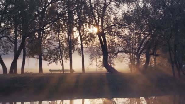 在一个雾, 秋天的日出在公园里奔跑的女人剪影. — 图库视频影像