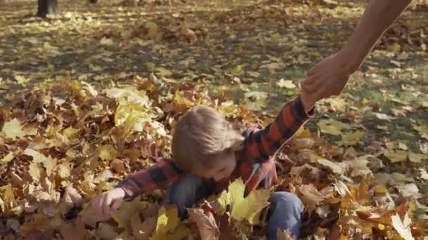 Feliz niño jugando con hojas de otoño lanzando hojas en el parque — Vídeo de stock