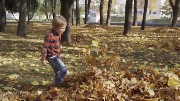 Glad liten pojke som leker med hösten lämnar kasta löv i park — Stockvideo