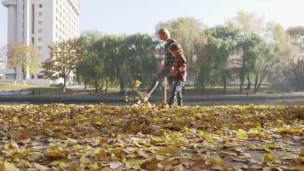 Genç anne oğluyla eğlenceli sonbahar park güneşli gün olması. — Stok video
