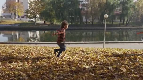 Jonge moeder met plezier met haar zoon in herfst park op zonnige dag — Stockvideo