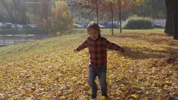 Anne ve oğlu Sonbahar Park eğlenmek ve sarı yapraklar bir yığın yalan. Anne sarılma çocuk — Stok video