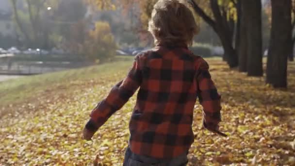 Маленький хлопчик біжить осіннім опалим листям — стокове відео