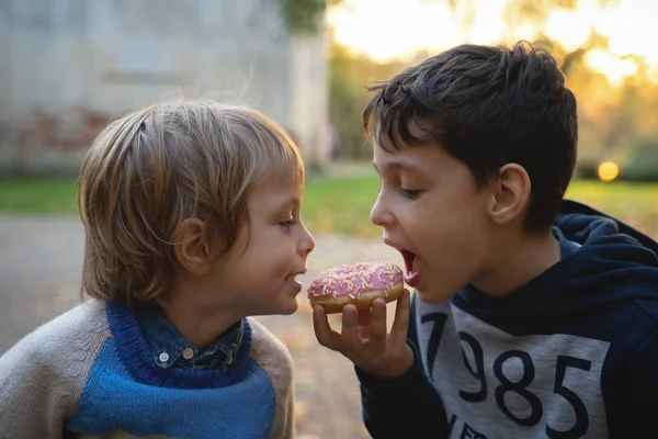 Two caucasian boys eating one donut outdoors closeup. Childhood. — Stock Photo, Image