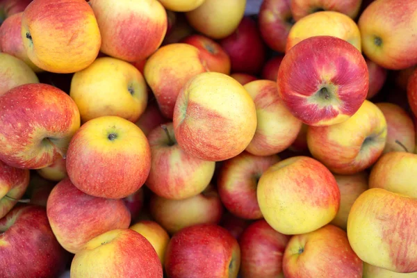 Yapraklarıyla bir grup kırmızı elma.