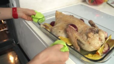 Kadının dolma turşusu ham kaz tarafından yayılan dilimlenmiş elma eller. Kaz hazırlamak beyaz masa örtüsü ile masa üzerinde olgun elma ile pişirme çanağı içinde yemek için. Gün ışığı.