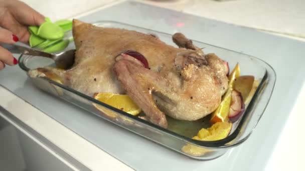 Frauenhände verteilt durch Marinade rohe Gans, gefüllte geschnittene Äpfel. Gans zum Kochen in Auflaufform mit reifen Äpfeln über Tisch mit weißer Tischdecke vorbereiten. Tageslicht — Stockvideo