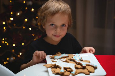 lezzetli zencefilli kurabiye tutarak ve kameraya gülümseyen şapkalı şirin mutlu çocuk