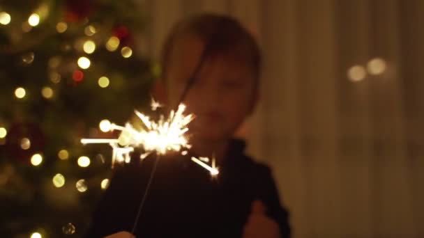 Chlapec má prskavku a smích. Prskavky. prskavky ve svých rukou. Silvestrovské náladě. Vánoční strom. Světla. Hezký kluk. Děti. — Stock video