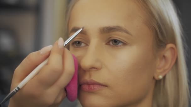 Maquiagem artista no trabalho. Visagista feminina usando escova de sobrancelha. Dicas de maquiagem de profissionais . — Vídeo de Stock