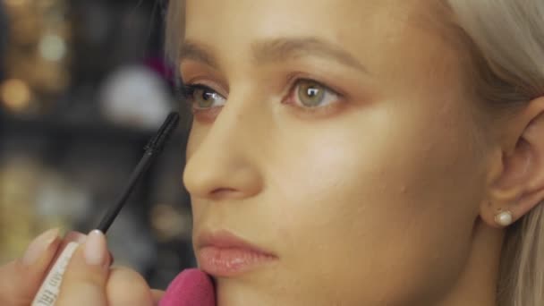 Professionell makeupartist gör ögonmakeup för ung modell — Stockvideo