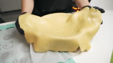 Ev hanımı kiş Fransız pasta tavuk, kızarmış sebze ile ve, Dolum, evde, ricipes mutfak, yemek pasta yapar
