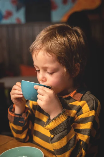 A cozy autumn portrait of a nice little boy. A small boy of 5 years drinks cocoa. Autumn. Winter. — Stock Photo, Image