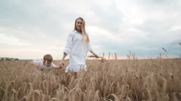 Jovem bonito mãe e filho no campo de trigo campo natureza mulher desfrutar de passeios com seu menino — Vídeo de Stock