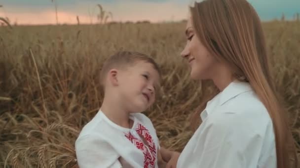 Jonge moeder en kind zoon liggen in een tarwe veld knuffelen met plezier samen mooie vrouw met kleine schattige jongen. — Stockvideo