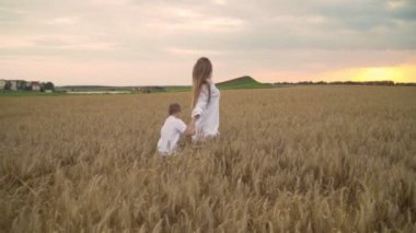 Anne ve oğlu el ele tutuşarak Altın buğday tarlasında koşuyorlar. Annelik kavramı, mutlu bir aile. Yavaş çekim