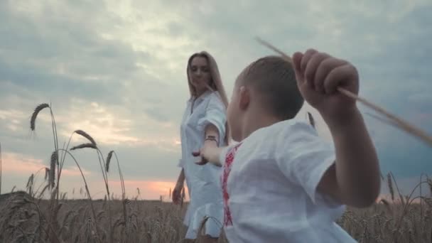 Jonge schattige moeder en zoon in tarwe veld platteland natuur vrouw geniet van wandelingen met haar kleine jongen — Stockvideo