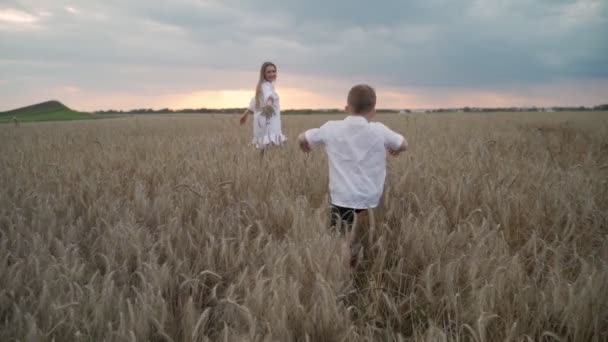 Mor och son kör på det gyllene vete fältet och håller händerna. Begreppet moderskapet, en lycklig familj. Slow motion — Stockvideo