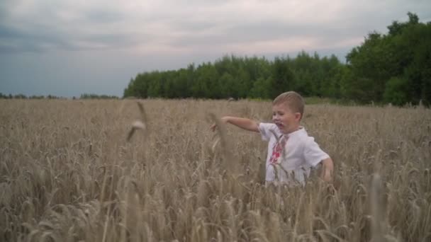 Трехлетний мальчик бежит по золотому полю, медленно двигаясь . — стоковое видео