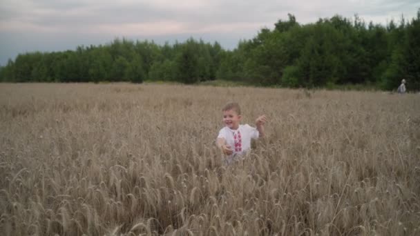 Ragazzo caucasico di 3 anni che corre sul campo di grano dorato, rallentamento . — Video Stock