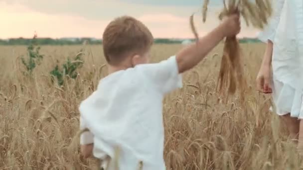 Jovem mãe e filho filho mentir em um campo de trigo abraçando se divertindo juntos mulher bonita com pouco menino bonito . — Vídeo de Stock