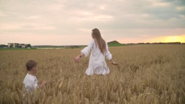 Matka i syn biegną na polu złotej pszenicy, trzymając ręce. Koncepcja macierzyństwa, szczęśliwej rodziny. Zwolnionym — Wideo stockowe