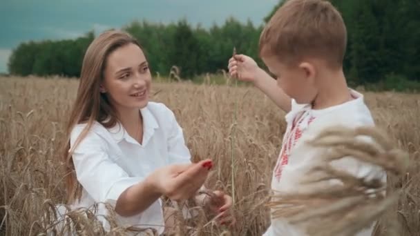 Mladá matka a syn dítěte leží v obilném poli a baví se s krásnou ženou s malým roztomilým klukem. — Stock video