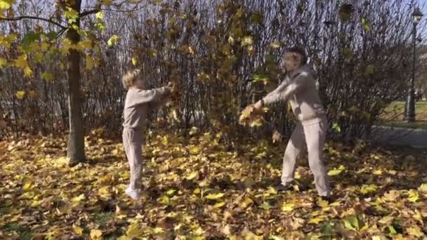 Oung bela mãe e seu pequeno filho se divertir na floresta de outono. Eles pulam e jogam folhas no ar. Eles. Estão a rir. A família está feliz. Movimento lento — Vídeo de Stock