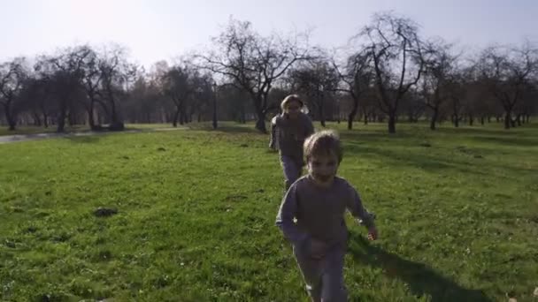 Mutter mit einem Kind im Park spielen aufholen, umeinander rennen und Spaß haben, kann das Kind nicht fangen die Mutter Enten und List — Stockvideo