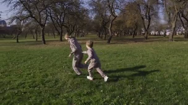 Máma s dítětem hraje v parku dohánět, běh kolem sebe a baví, dítě nemůže chytit matky kachny a mazaný — Stock video