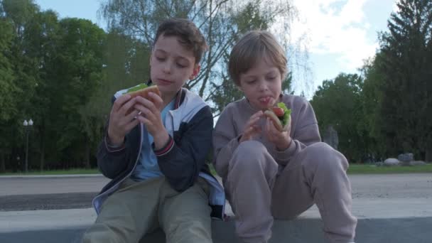 Dos niños comiendo perritos calientes al aire libre. Los hermanos disfrutan de su comida. Hotdog como alimento poco saludable para niños . — Vídeos de Stock