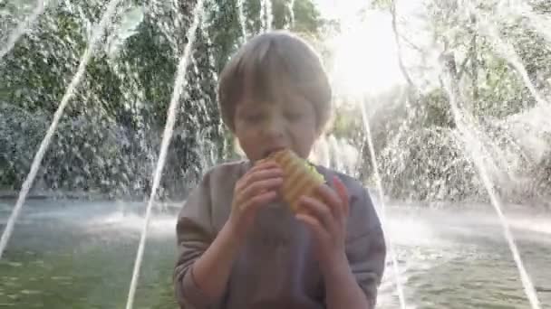 En liten pojke som äter korv utomhus. Hotdog som ohälsosam mat för barn. — Stockvideo