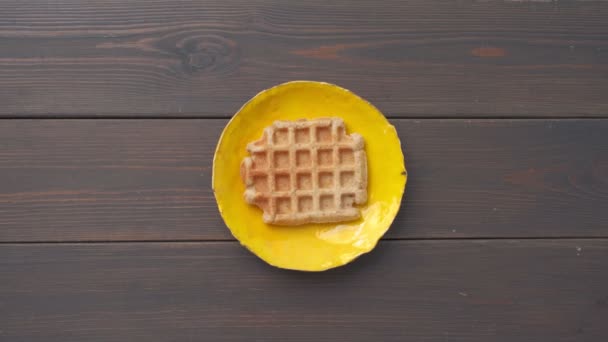 Keto kaas wafel met avocado, zalm en roerei — Stockvideo