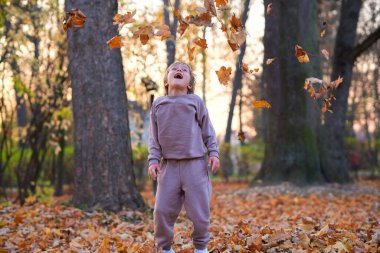 Sonbahar yapraklarında koşan küçük bir çocuk. Çal, ara sokak