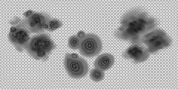 Черные Колонии Плесени Набор Векторных Шаблонов Аллергенные Пятна Черной Росы Векторная Графика