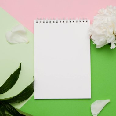 Çiçekler ve geometrik arka plan üstünde defter kompozisyonu. Tasarımınız için alay. Düz yatıyordu.