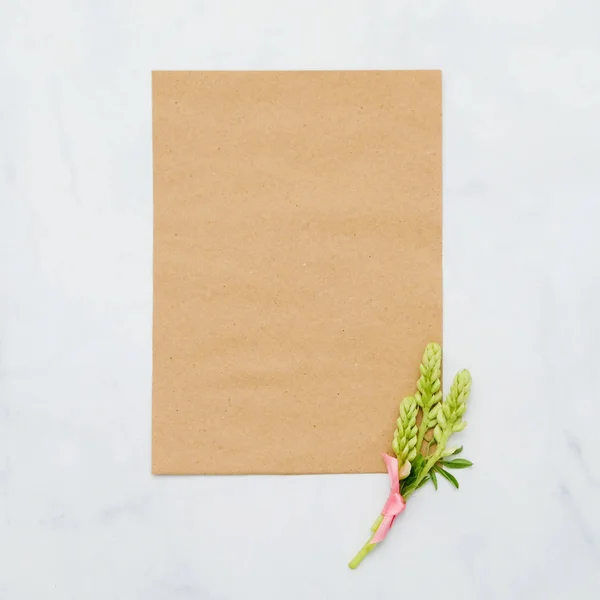 Composición con flores y papel artesanal sobre fondo blanco. Prepárate para tu diseño. Puesta plana . — Foto de Stock