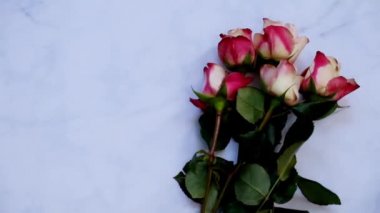 Seni tebrik kartı, hediye ve çiçek beyaz tahta üzerinde için görünümü top