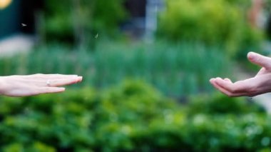 dostluk ve sevgi erkek ve kadın: iki doğa üzerinde eller