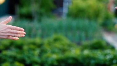 dostluk ve sevgi erkek ve kadın: iki doğa üzerinde eller