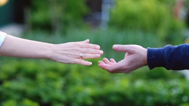 Amitié et amour de l'homme et de la femme : deux mains sur la nature 