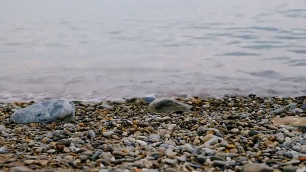 海中的软浪, 卵石滩 — 图库视频影像
