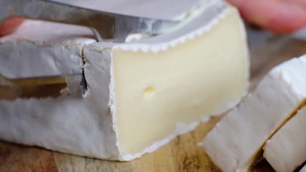 Cutting soft cheese, french brie or camembert, macro shot — Stock Video