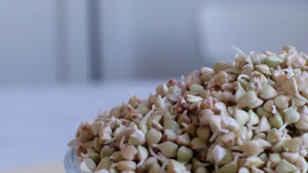 Klíčky zelené pohanky v misce. Makro snímek. Syrové pohanky. Užitečné potraviny z pohankové klíčky pro vegetariánské jídlo. — Stock video