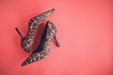 Leopard print shoes high heels on red background, top view